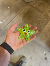 Load image into Gallery viewer, Squishy starfish NeeDoh ice cube textured
