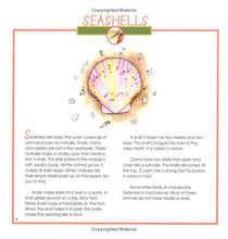 Load image into Gallery viewer, Seashells, Crabs and Sea Stars
