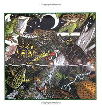Load image into Gallery viewer, Frogs, Toads &amp; Turtles

