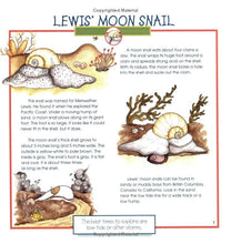 Load image into Gallery viewer, Seashells, Crabs and Sea Stars
