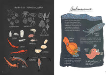 Load image into Gallery viewer, Ocean Anatomy
