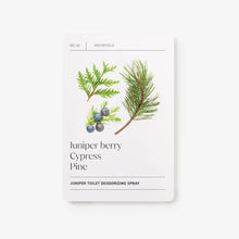 Load image into Gallery viewer, Essential Oils Recipes
