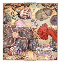 Load image into Gallery viewer, Seashells, Crabs and Sea Stars
