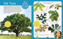 Load image into Gallery viewer, Backpack Explorer: Discovering Trees
