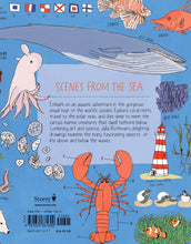 Load image into Gallery viewer, Ocean Anatomy
