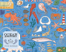 Load image into Gallery viewer, Ocean Anatomy, The Puzzle 500pcs
