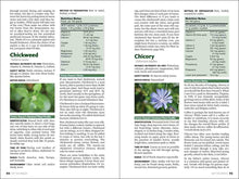 Load image into Gallery viewer, Eat The Weeds
