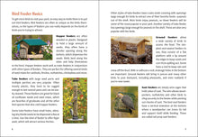 Load image into Gallery viewer, Midwest Birding for Beginners
