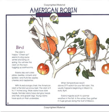 Load image into Gallery viewer, Birds, Nests &amp; Eggs
