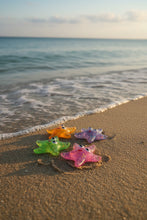 Load image into Gallery viewer, Squishy starfish NeeDoh ice cube textured
