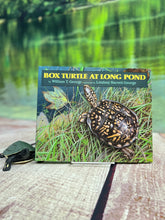 Load image into Gallery viewer, Box Turtle at Long Pond Bundle!
