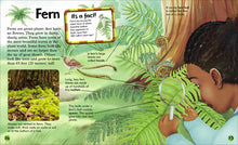 Load image into Gallery viewer, Learning Ladders-Plants Around the World
