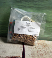 Load image into Gallery viewer, Lab Kit for Apologia's Exploring Creation w/Math 3
