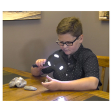 Load image into Gallery viewer, Cob Panel Magnifying Glass
