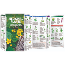 Load image into Gallery viewer, Medicinal Plants- Pkt Nat

