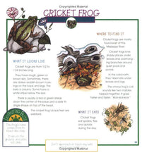 Load image into Gallery viewer, Frogs, Toads &amp; Turtles
