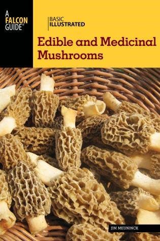 Basic Illustrated: Edible & Medicinal Mushrooms