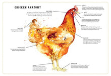 Load image into Gallery viewer, Little Book of Chickens
