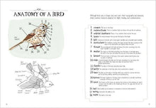 Load image into Gallery viewer, Bird Anatomy: Trade Paperback

