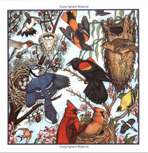 Load image into Gallery viewer, Birds, Nests &amp; Eggs
