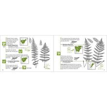 Load image into Gallery viewer, Fern Finder
