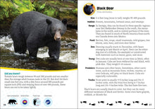 Load image into Gallery viewer, Critters of Georgia

