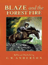 Load image into Gallery viewer, Blaze and the Forest Fire
