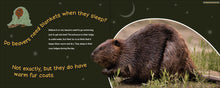 Load image into Gallery viewer, Do Beavers Need Blankets
