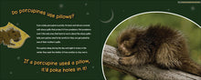 Load image into Gallery viewer, Do Beavers Need Blankets
