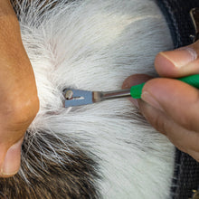 Load image into Gallery viewer, Premium Tick Remover Kit
