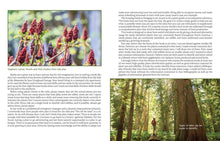 Load image into Gallery viewer, Prepper's Guide to Foraging, 2nd ed.
