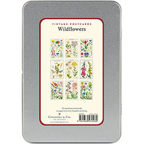 Load image into Gallery viewer, Wildflowers Vintage Postcards
