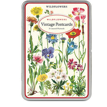 Load image into Gallery viewer, Wildflowers Vintage Postcards
