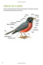 Load image into Gallery viewer, Birding Florida: Falcon Guide
