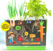 Load image into Gallery viewer, Root Viewer Kit for Kids
