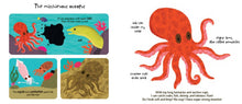 Load image into Gallery viewer, Touch and Explore: The Ocean
