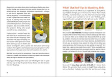 Load image into Gallery viewer, Midwest Birding for Beginners
