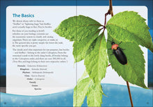 Load image into Gallery viewer, Fireflies Book
