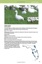 Load image into Gallery viewer, Birding Florida: Falcon Guide
