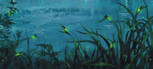 Load image into Gallery viewer, Firefly Song
