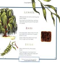 Load image into Gallery viewer, Trees, Leaves &amp; Bark
