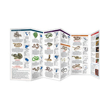 Load image into Gallery viewer, The World of Snakes Pkt Nat
