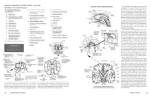 Load image into Gallery viewer, McMurtrie's Human Anatomy Coloring Book: Trade Paperback
