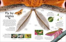 Load image into Gallery viewer, Shapes Of Nature
