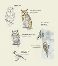 Load image into Gallery viewer, Curious Kids Nature Guide
