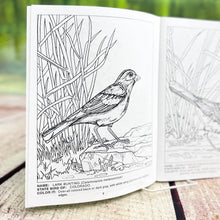 Load image into Gallery viewer, *State Birds s.c.b.

