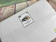 Load image into Gallery viewer, Lab Kit for Discovering Design with Earth Science (NWP)
