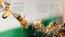 Load image into Gallery viewer, Queen Spotting Book
