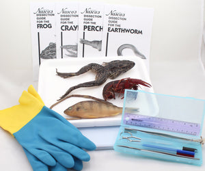 Introductory Dissection Lab Kit
