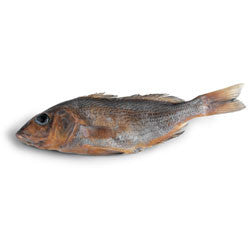 Perch, 7-9", plain